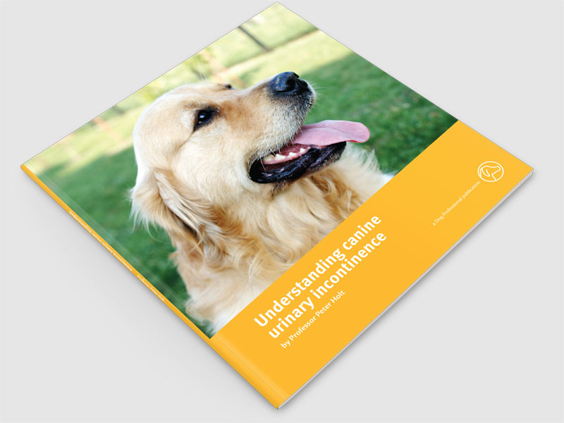 Understanding canine urinary incontinence