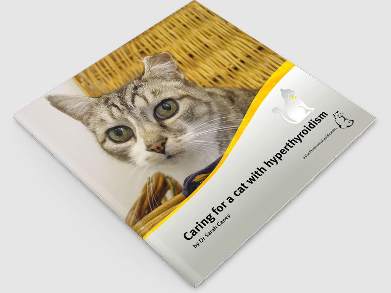 Caring For A Cat With Hyperthyroidism 2016 Download Only
